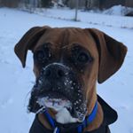 Profile Picture of Jeremy Harris (@jeremyharris1) on Instagram