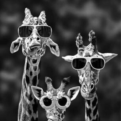 Profile Picture of Anuradha (@only1rini) on Twitter