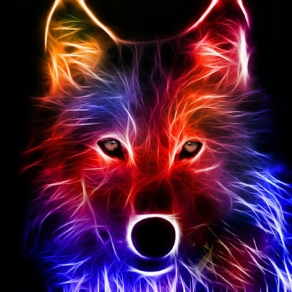 Profile Picture of Lara Reed (@groo593) on Poshmark