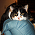Profile Picture of David Stoll (@david stoll) on Flickr