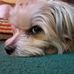 Profile Picture of Chris Raymer (@chris.raymer.52) on Facebook