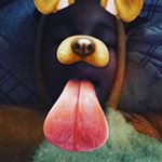 Profile Picture of jonathan_aka_munch_1187💛💙💜💚❤💖 (@jon_aka_munch_1124) on Instagram