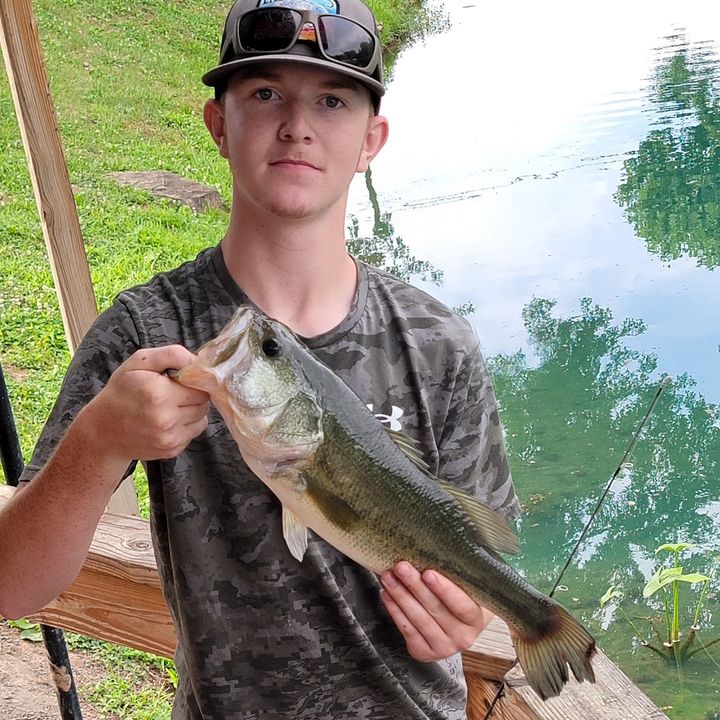 Profile Picture of Andrew Alford (@andrewalford4) on Tiktok