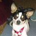 Profile Picture of Cheryl Knapp (@cheryl.knapp.125) on Facebook