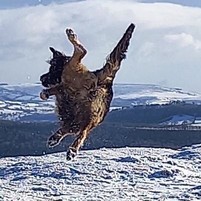 Profile Picture of Kevin Blount (@hockeymadkgb) on Twitter