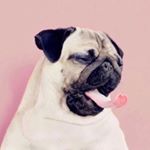 Profile Picture of Daniela Escobar. (@contento21) on Instagram