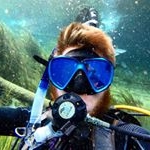 Profile Picture of Paul Heckert Photography (@paulheckertphoto) on Instagram