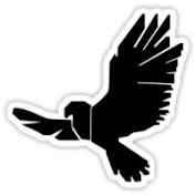 Profile Picture of Black Jade Falcon (@blackjadefalcon8473) on Youtube