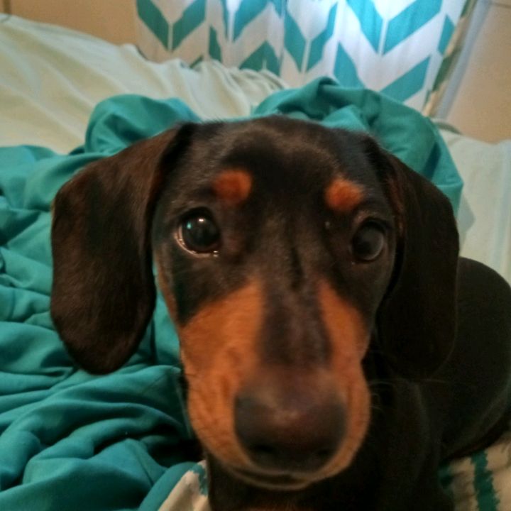 Profile Picture of Tina Michelle Pointer (@tinapointer) on Tiktok