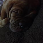 Profile Picture of Avery Barrett (@avery_8246) on Instagram