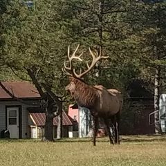Profile Picture of ericboland8 (@ericboland8) on Tiktok