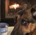 Profile Picture of Mike Dacey (@mike.dacey.927) on Facebook
