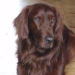 Profile Picture of Paul Setter (@instapaulsetter) on Instagram