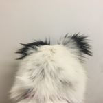 Profile Picture of Alex Healy (@alexliketrebek) on Instagram