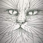 ana_canelones - Instagram Profile Picture of ana_canelones (@ana_canelones) on Instagram