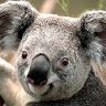 Profile Picture of James Rowell (@jamesr4986) on Pinterest