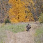 Profile Picture of Mark Wickersham (@mark.wickersham.140) on Instagram