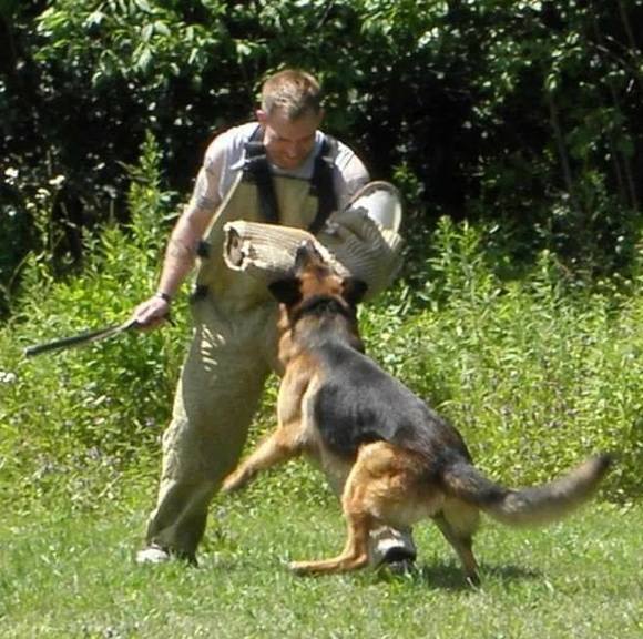 Profile Picture of Kevin Weyler (@privateweyler) on Poshmark