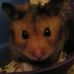 Profile Picture of Emma Boylan (@Emma-Boylan) on Facebook