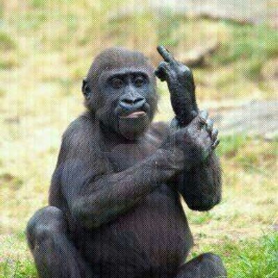 Profile Picture of Kevin De Bever (@kevoezo12) on Twitter