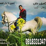 Profile Picture of bahman abbasi (@bahman.abbasi.ir19) on Instagram