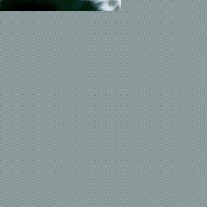 Profile Picture of Đông Phan (@390743423) on Myspace