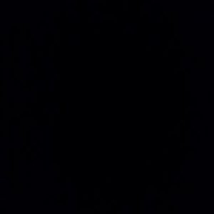 Profile Picture of Tyler Shiflett (@tylershiflett1) on Twitter