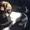 Profile Picture of Shelley Kelly (@@lynnkelly308) on Tiktok