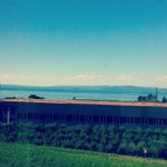 Profile Picture of Sally Musick (@singbradeljim) on Instagram