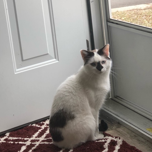 Profile Picture of Kim Overmyer (@kimovermyer) on Poshmark