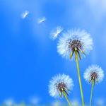 Profile Picture of 鄭景丞 (@james870117) on Instagram