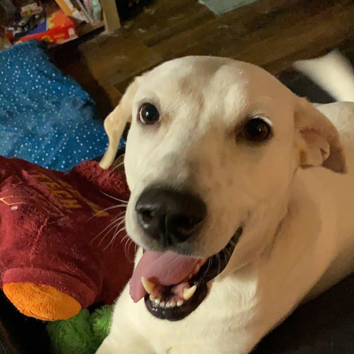 Stephanie Rowse - Tiktok Profile Picture of Stephanie Rowse (@srowse) on Tiktok