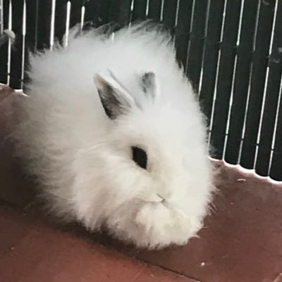 David Wooo - Twitter Profile Picture of David Wooo (@wooo_Davidbebo) on Twitter