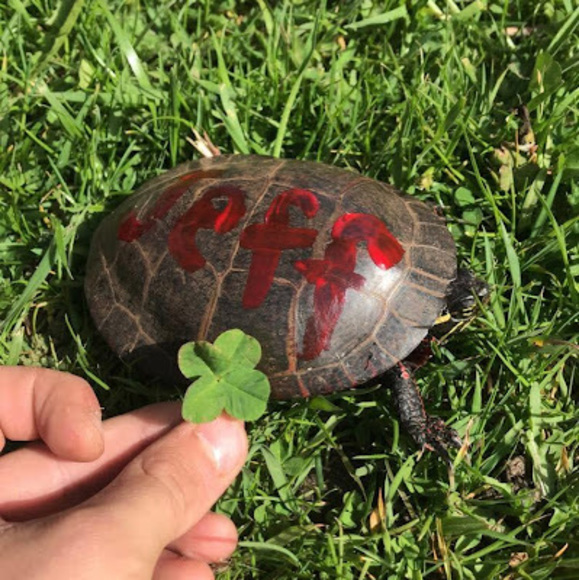 Profile Picture of Andrew Felice (@andrewf22) on Poshmark