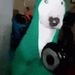 Profile Picture of David Colmenares Jaimes (@colmenaresjaimes) on Pinterest