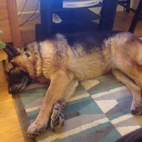 Profile Picture of Jonathan Muirhead (@jonathanrmuirhe) on Pinterest