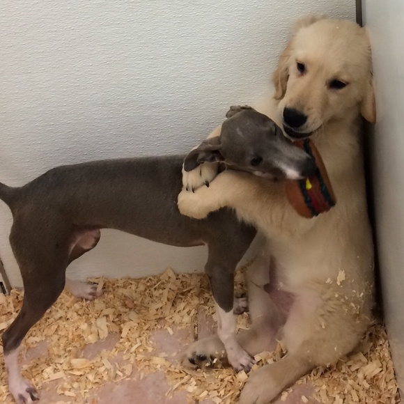 Profile Picture of Lakeland Lakeland (@lakelandd) on Poshmark