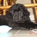 Profile Picture of Jim Babb (@babbj007) on Instagram