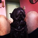 Profile Picture of Thomas Shipp (@fundamipa) on Instagram