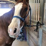 Profile Picture of Tracy Doster Clarke (@clarketracydoster) on Instagram