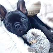 Profile Picture of Kevin AngelL (@kevinangell899) on Youtube