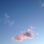 Profile Picture of Eric Brewer Immel  📸 (@ericbrewerimmel) on Instagram