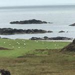 Profile Picture of Andrew Pasini (@andrewpasini) on Instagram