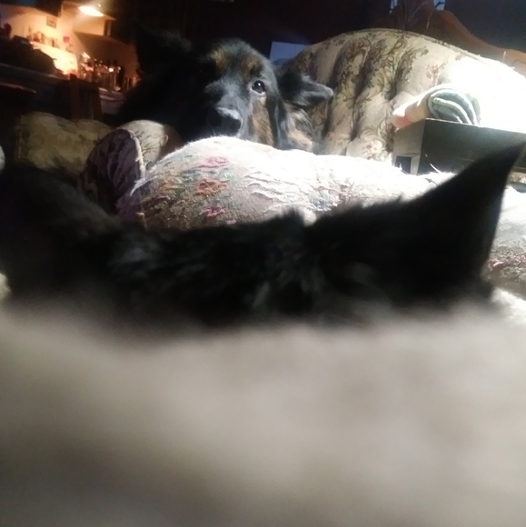 Profile Picture of Shawna Balt-barr (@denechic2000) on Poshmark