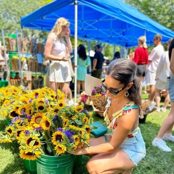 Profile Picture of Petra Tomuta (@petra_rp16) on Poshmark