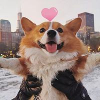 Profile Picture of Nancy Ping (@nancy-ping-7) on Quora