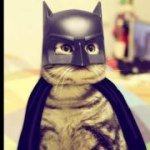 Profile Picture of Nelson Lamb (@fastnel1) on Instagram