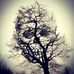 Profile Picture of Roberta McGee (Bobbie) (@roberta.mcgee.18) on Facebook
