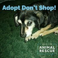 Profile Picture of Michelle Carpenter Hafele (@michelle-carpenter-hafele) on Quora