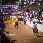 Profile Picture of 👑🔥नाद एकच बैलगाडा शर्यत🐎👑 (@nad_eakch_bilgada_sharyt_9912) on Instagram